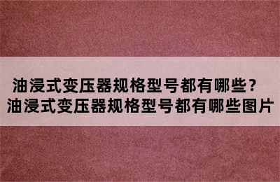 油浸式变压器规格型号都有哪些？ 油浸式变压器规格型号都有哪些图片